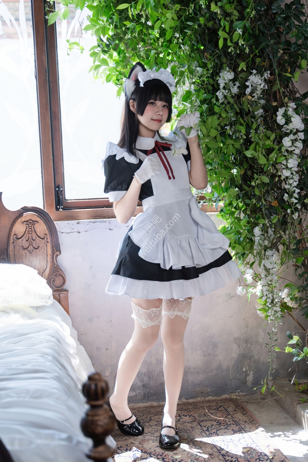 清水凪-兽娘育成计划[82P] 稀缺图包 预览1图